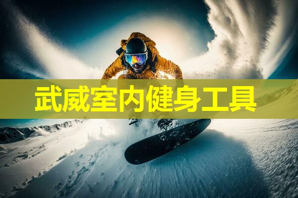 武威室内健身工具