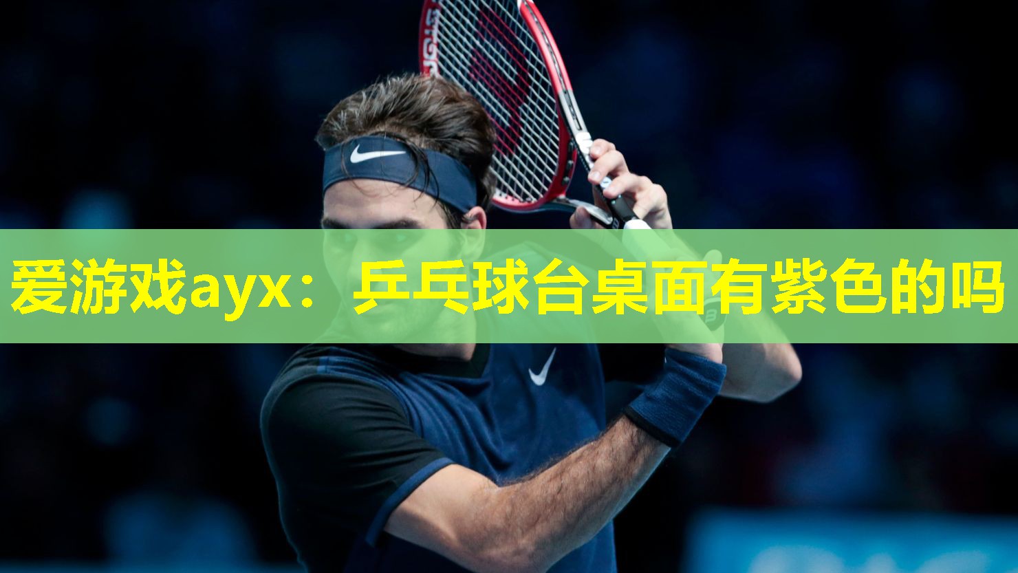 爱游戏ayx：乒乓球台桌面有紫色的吗