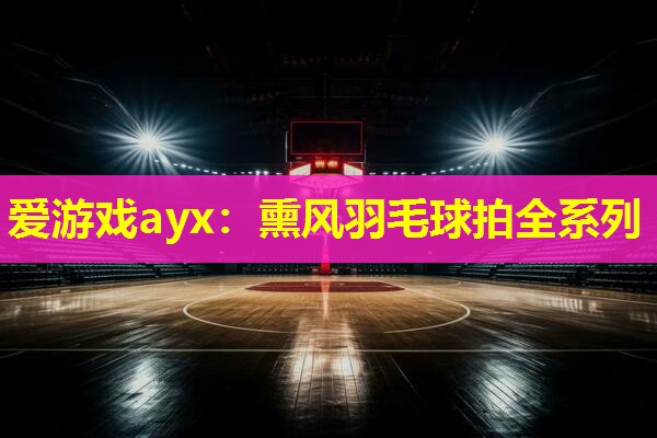 爱游戏ayx：熏风羽毛球拍全系列