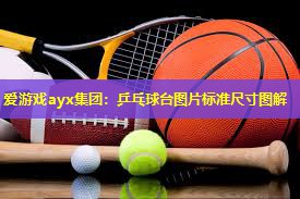 爱游戏ayx集团：乒乓球台图片标准尺寸图解