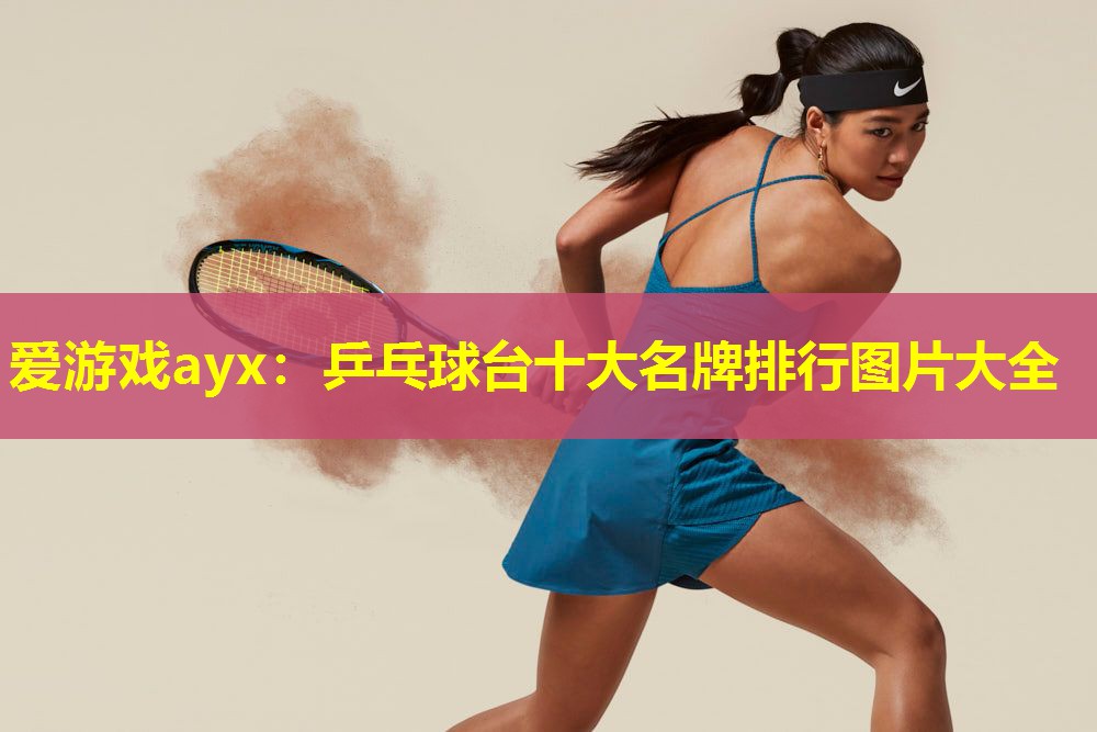 爱游戏ayx：乒乓球台十大名牌排行图片大全