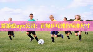 爱游戏ayx公司：正规乒乓球台标准尺寸