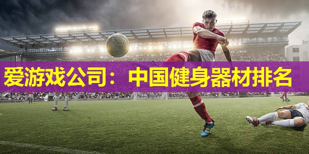 爱游戏公司：中国健身器材排名