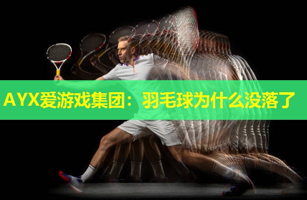 AYX爱游戏集团：羽毛球为什么没落了