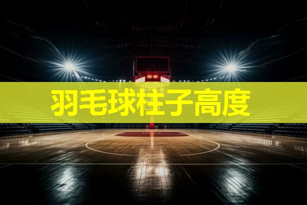 羽毛球柱子高度