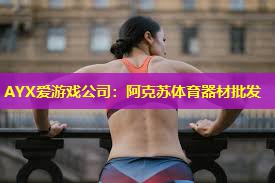 AYX爱游戏公司：阿克苏体育器材批发