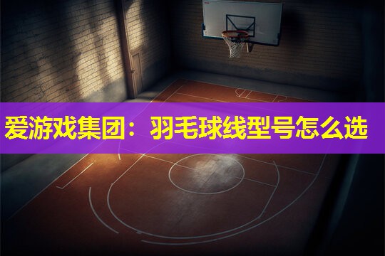 爱游戏集团：羽毛球线型号怎么选