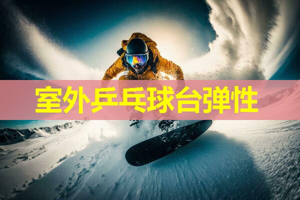 室外乒乓球台弹性 室外乒乓球台弹性