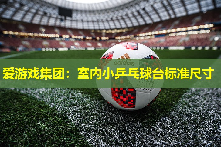 室内小乒乓球台标准尺寸 室内小乒乓球台标准尺寸