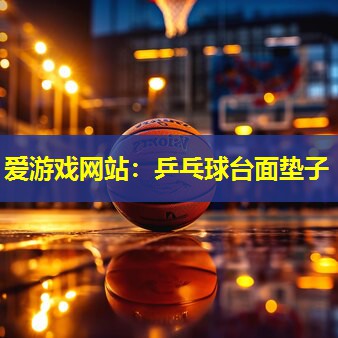 乒乓球台面垫子 乒乓球台面垫子