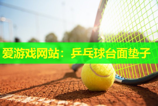 乒乓球台面垫子 乒乓球台面垫子