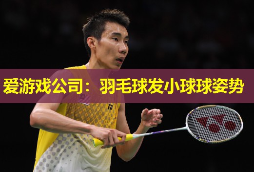 羽毛球发小球球姿势 羽毛球发小球球姿势