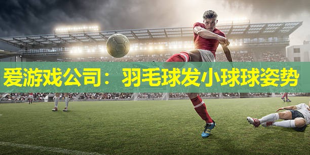 羽毛球发小球球姿势 羽毛球发小球球姿势