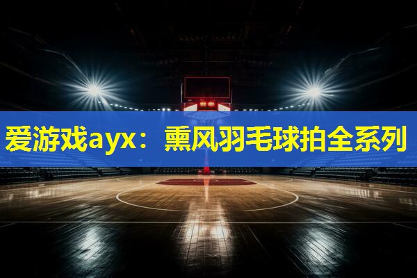 熏风羽毛球拍全系列 熏风羽毛球拍全系列
