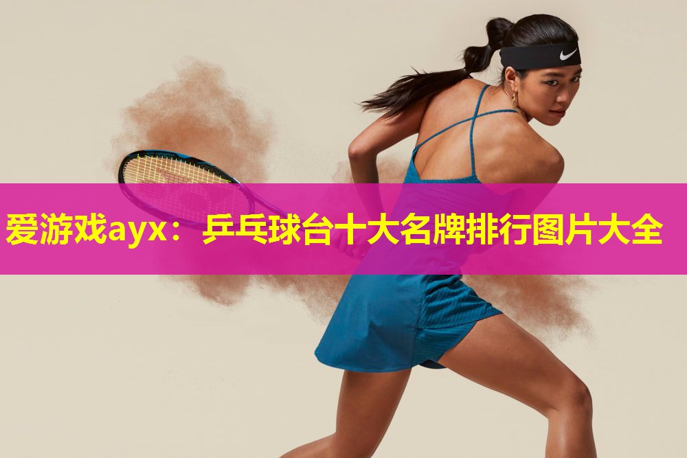 乒乓球台十大名牌排行图片大全 乒乓球台十大名牌排行图片大全