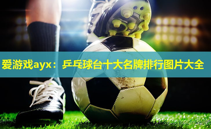 乒乓球台十大名牌排行图片大全 乒乓球台十大名牌排行图片大全