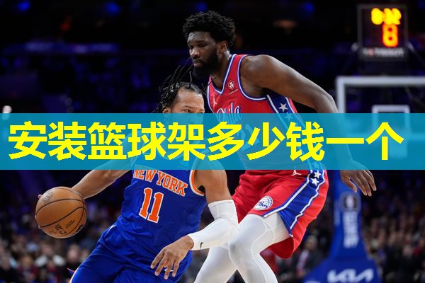 安装篮球架多少钱一个 安装篮球架多少钱一个