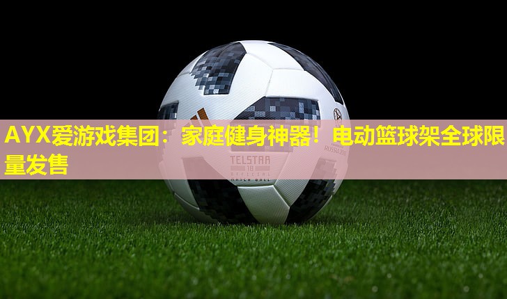 家庭健身神器!电动篮球架全球限量发售 家庭健身神器!电动篮球架全球限量发售