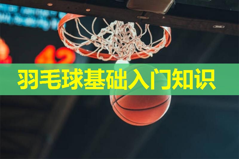 羽毛球基础入门知识 羽毛球基础入门知识