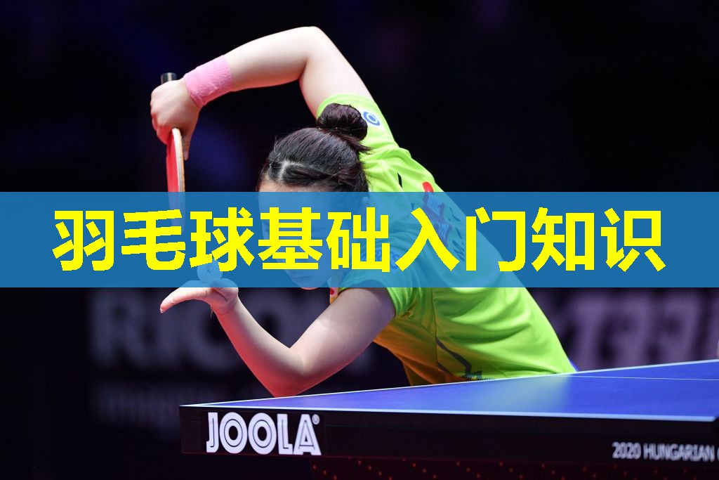 羽毛球基础入门知识 羽毛球基础入门知识