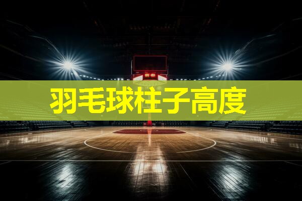 羽毛球柱子高度 羽毛球柱子高度