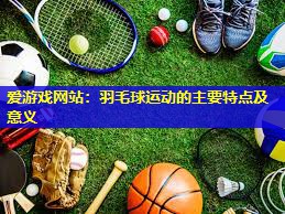 羽毛球运动的主要特点及意义 羽毛球运动的主要特点及意义