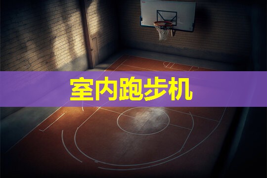室内跑步机 室内跑步机