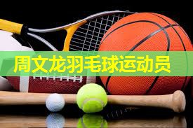 周文龙羽毛球运动员