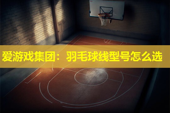 羽毛球线型号怎么选 羽毛球线型号怎么选