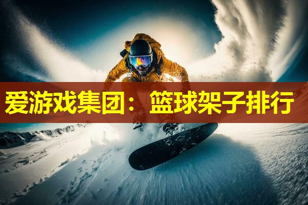 篮球架子排行 篮球架子排行