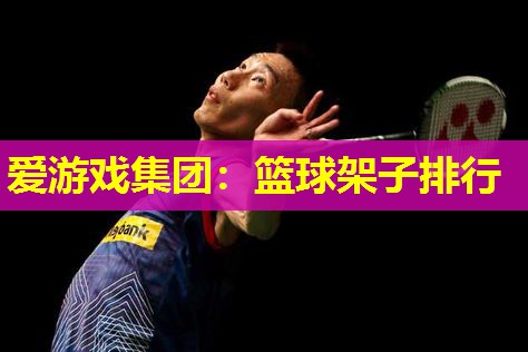 篮球架子排行 篮球架子排行