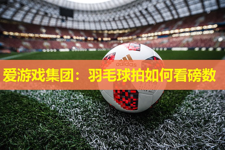 羽毛球拍如何看磅数 羽毛球拍如何看磅数